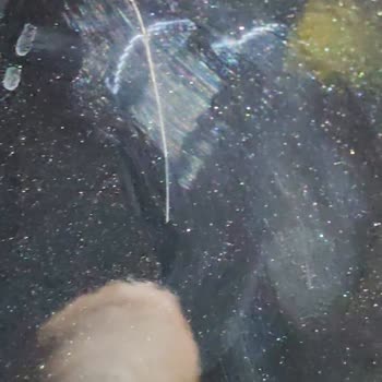 Satın Aldığım Sıfır Opel Corsa’da Gizli Boyama Ve Kaput Değişikliği Ortaya Çıktı