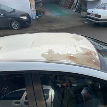 Honda Civic Paint Defect Causes Severe Value Loss, Warranty Requested