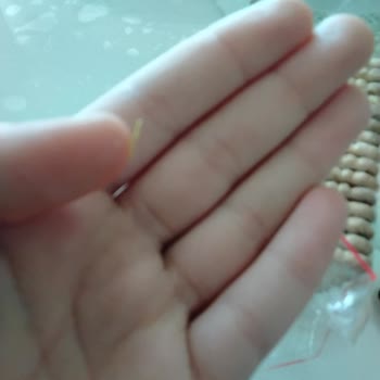 Süsse Bisküvi Paketi İçinde Yeşil Yabancı Cisim