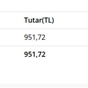 280 TL'den 950 TL'ye Fatura Artışı Ve Hız Düşürülmesi
