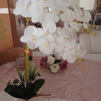 Görseldeki Yapay Orkide İle Gelen Ürün Arasındaki Uyuşmazlık Ve Tekrarlanan Kargo Masrafları