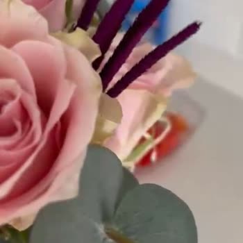 Solmuş Çiçekler Teslim Edildi, İade Veya Yeniden Gönderim Talebi