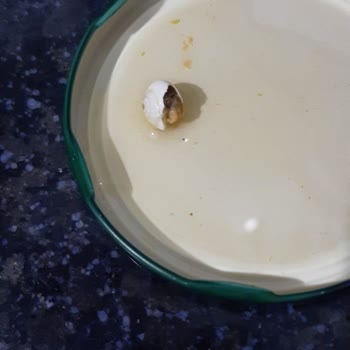 Tukaş Konserve Garnitüründe Salyangoz Bulunması Gıda Güvenliğini Sarsıyor