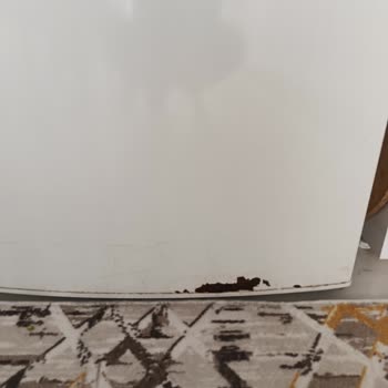 Bosch KGN Serisi Buzdolabında Gövde Ve Kapı Kenarlarında Çürüme