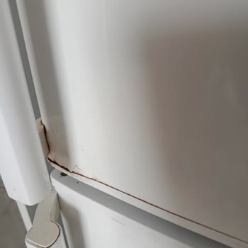 Bosch KGN Serisi Buzdolabında Gövde Ve Kapı Kenarlarında Çürüme