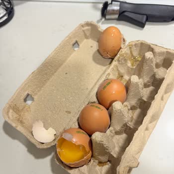 Migros Hemen Kırık Yumurtalar İçin İade Şartsız Geri Alım Talebi