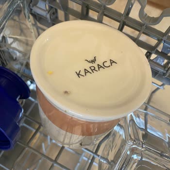 Bosch Serie 4 Bulaşık Makinesinin Yıkama Sorunu Ve Garanti Dışı Servis Ücreti Talebi