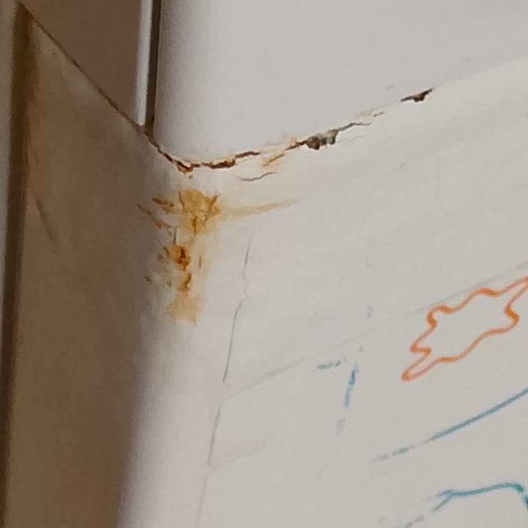 Profilo Çamaşır Makinesinde Erken Paslanma Ve Yüksek Onarım Ücreti Şikayeti