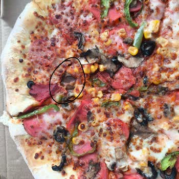 Kekik Ve Susam Eksikliği, Kalitesiz Pizzalar Ve Çözüm Sunulmaması