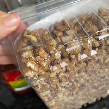 BİM Şubesinde Cevizde Böcek Tespiti Gıda Güvenliği Endişesi