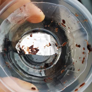 Burger King Çikolatalı Suflede Metal Parça Sağlık Riski Ve Güven Kaybı