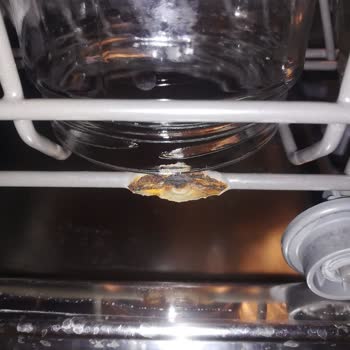 Samsung Bulaşık Makinesi Sepetlerinde Kronik Paslanma Ve Ücretsiz Değişim Talebi