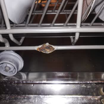 Samsung Bulaşık Makinesi Sepetlerinde Kronik Paslanma Ve Ücretsiz Değişim Talebi