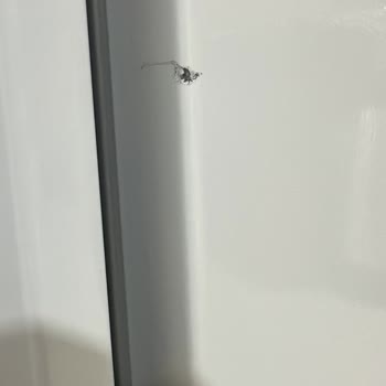 Bosch Darbeli Buzdolabı Ve İlgisiz Servis