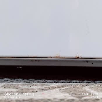 Garanti Kapsamında Çürüyen Buzdolabı Kapısının Ücretsiz Değiştirilmesi Talebi