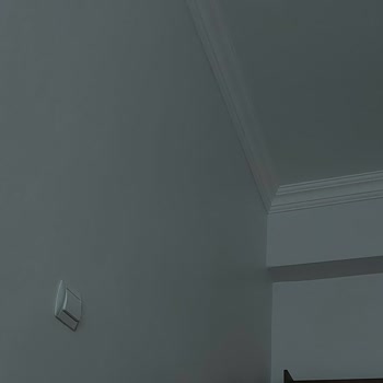 Marshall Silpak İç Cephe Boyasında Renk Uyumsuzluğu Ve Müşteri Hizmetlerine Ulaşılamama