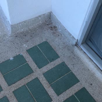 Отель Adriatic Palace В Паттайе Не Соответствует Описанию На Agoda