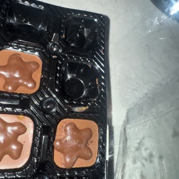 Şölen Çikolata Çikolata Kutusunda Böcek Ve Larva Kontrolsüz Paketleme