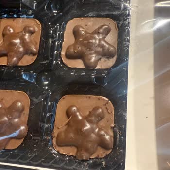 Şölen Çikolata Çikolata Kutusunda Böcek Ve Larva Kontrolsüz Paketleme