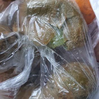 Migros Hemen’de Bozuk Meyve Sebzeler İçin İade Talebi Ve Cevapsız Şikayet