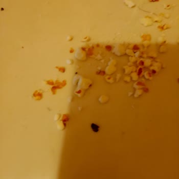 Ay-Pop Popcorn’da Plastik Parçaları Buldum, Sağlığım Tehlikede, 1 Milyon TL Tazminat İstiyorum