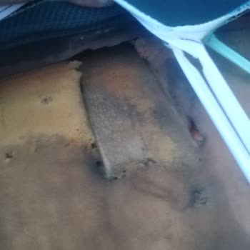 Arka Koltuk Dayanma Mesnedinin Kırık Olmadığına Rağmen Muayeneden Kaldım