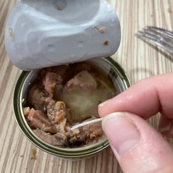 Fide Ton Balığında Kılçık Çıktı: Güvenim Sarsıldı