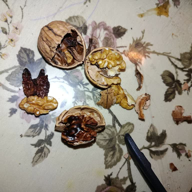 A101’de Yeni Mahsul Etiketi Yanıltıyor: Bayat Ceviz Şikayeti