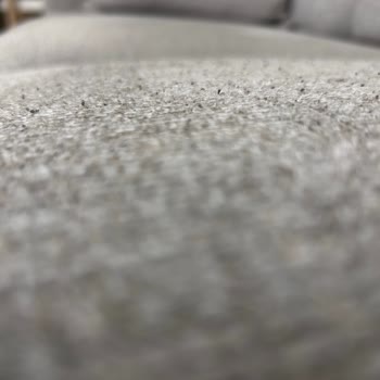 Mitra Koltuk Takımında Sürekli Tüylenme Ve Servis İhmali