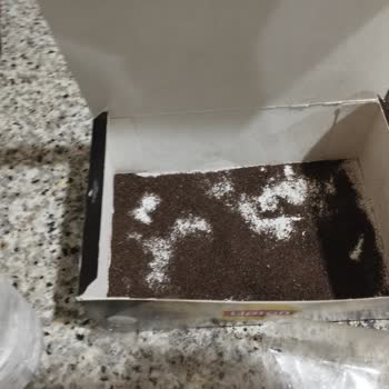 Patlamış Poşet Ve Dökülen Çay Nedeniyle Lipton Earl Grey Çay Kullanılamaz