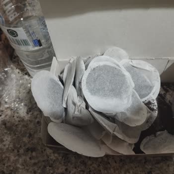 Patlamış Poşet Ve Dökülen Çay Nedeniyle Lipton Earl Grey Çay Kullanılamaz