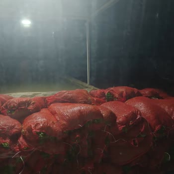 Lüks Adana Otobüsünde Güzergâh Dışı Durak Ve Yetkisiz Yükleme Güvenlik Sorunu