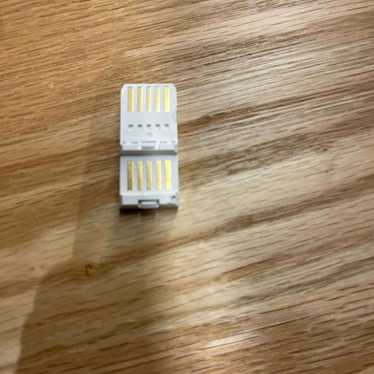 Govee Y Light Bağlantı Aparatı Kayboldu, Cevapsız Destek