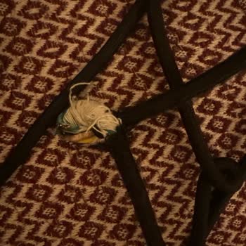 Philips Ütü Kablosunda Patlama Güvenlik Riski Ve Ücretsiz Onarım Talebi