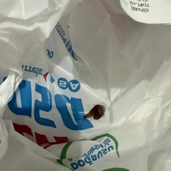 Carrefour SA Sebze Ve Meyve Poşetinde Ölü Hayvan Keşfi Hijyen İhlali Ve Sağlık Tehlikesi