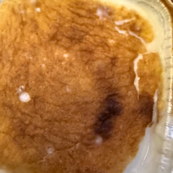 Son Kullanma Tarihi Geçmemiş Sütlaçta Küf Ve Soğuk Zincir İhlali