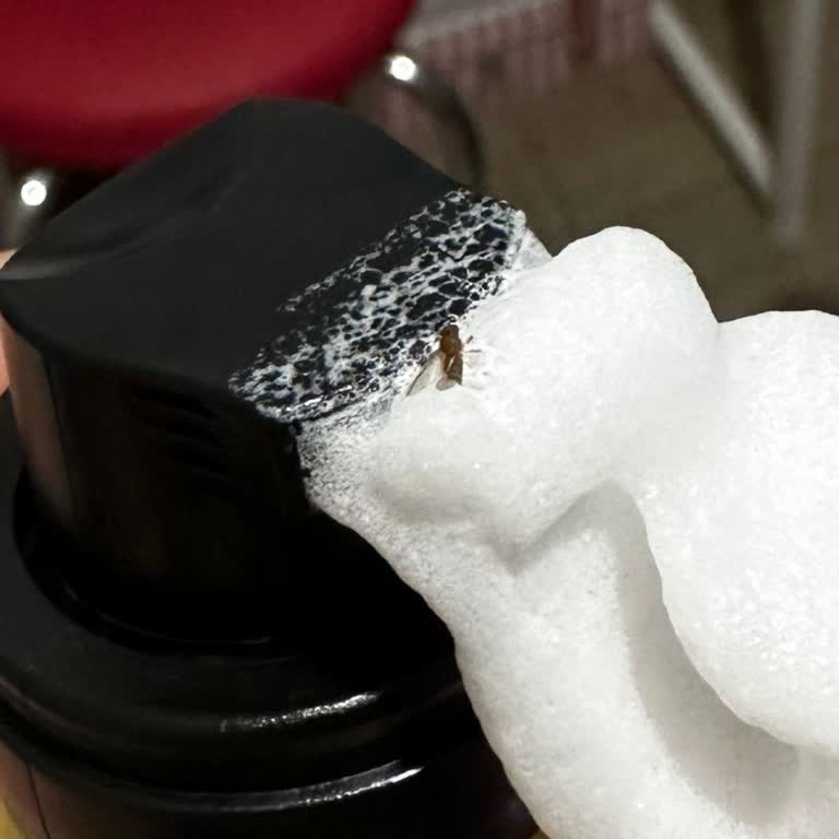 Watsons’ta Satın Alınan Vücut Köpüğünde Sinek Bulunması Ve Hijyen İhmaline Karşı Şikayet