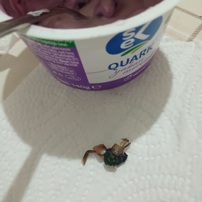 A101 Şubesinde Yoğurttan Çıkan Böcek Ve Şiddetli Sağlık Sorunu