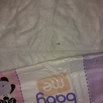 Hijyenik Olmayan Bebek Örtüsünde Sinek Görüldü