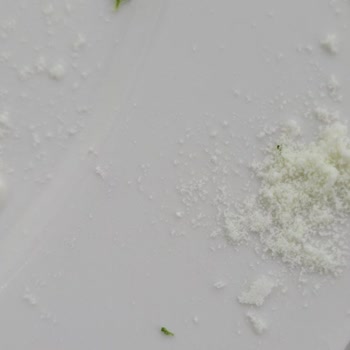 Bebelac Gold Konfor 1'de İçinden Çıkan Yeşil Parçalar Ve Bebek Gazı