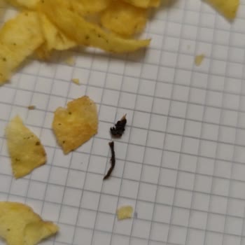 Hijyen Sorunu: Böcekli Cips Ve Cevapsız Müşteri Hizmetleri