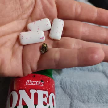 Oneo Sakızında Yabancı Cisim Görüldü, Sağlık Ve Hijyen Endişesi