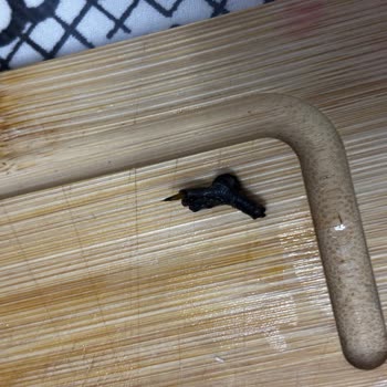 Garnitür Konservesinde Yabancı Parça Ve Hijyen Sorunu