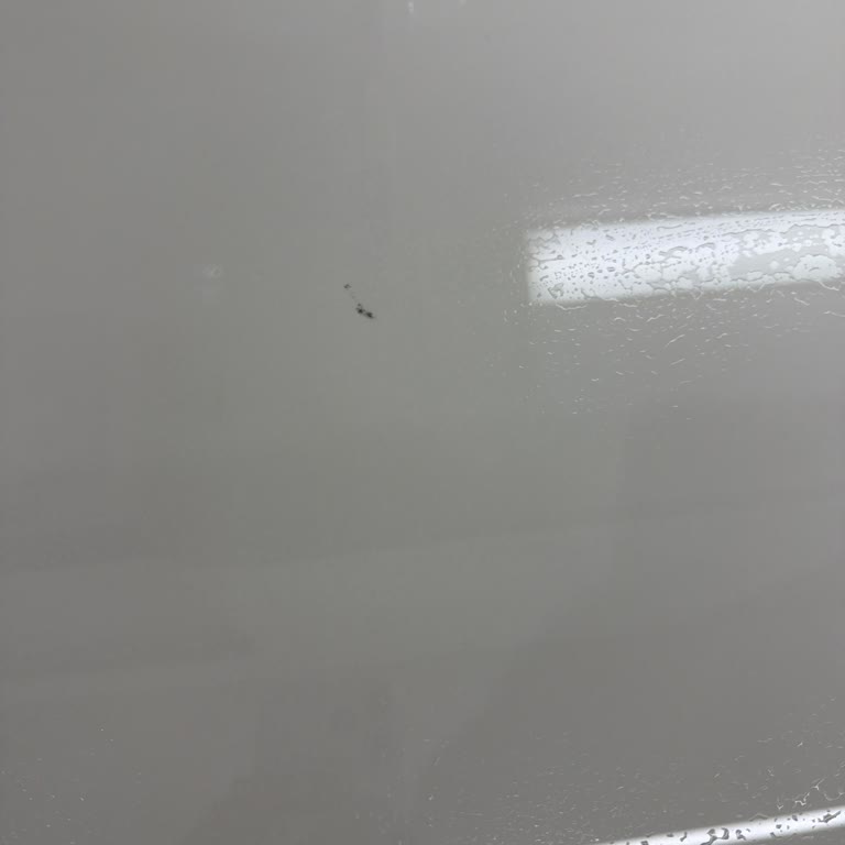 Bayar Mermer Ve Lamar'ın Çizilmez Reklamı Gerçekleşmedi Ve Müşteri Mağdur Oldu