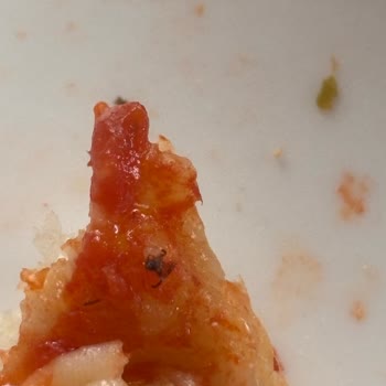 BİM Lezzethane Pizza’da Böcek Sorunu Ve Hijyen İhmaline Yanıt Bekleniyor