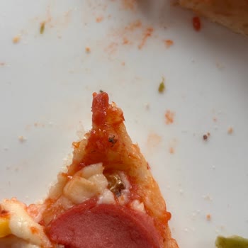 BİM Lezzethane Pizza’da Böcek Sorunu Ve Hijyen İhmaline Yanıt Bekleniyor