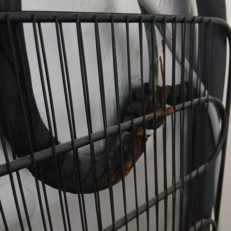 Dört Yıllık Beko Derin Dondurucu Soğutmuyor, Garanti Dışı 13 Bin TL Onarım Ücreti