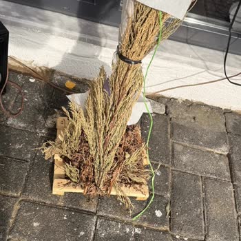 Geç Gelen Ve Böcekli Çiçek Çelengi İçin İade Reddi