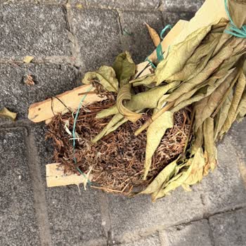 Geç Gelen Ve Böcekli Çiçek Çelengi İçin İade Reddi