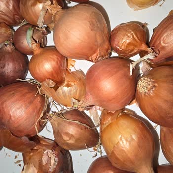 Yemeksepeti Market'ten Çürük, Aşırı Fiyatlı Ürünler Ve İade Reddi